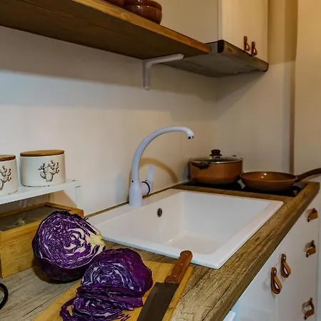 Graffitisuites#cactus Appartamento *