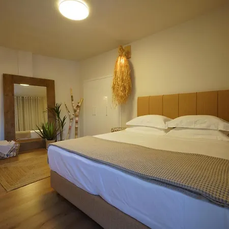 Graffitisuites#cactus