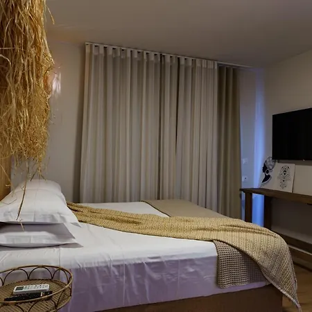 Graffitisuites#cactus *