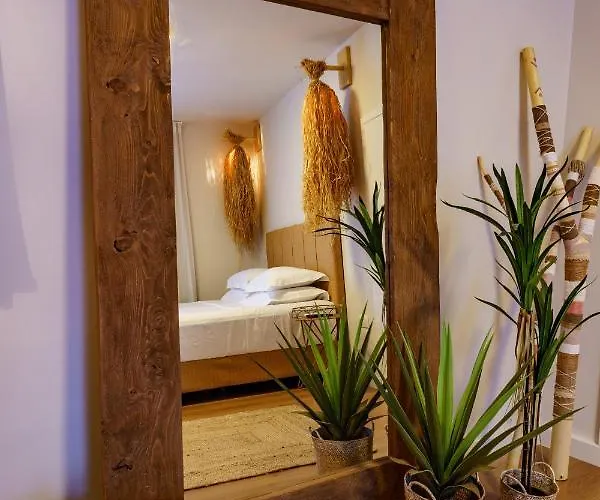 Apartament Graffitisuites#cactus